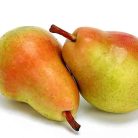 Clapp kedveltje körte szabadgyökerű gyümölcsfa