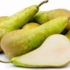 Conference körte szabadgyökerű gyümölcsfa