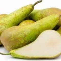 Conference körte szabadgyökerű gyümölcsfa