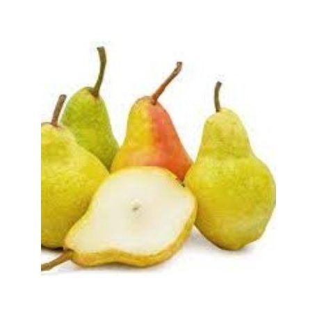 Vilmos körte szabadgyökerű gyümölcsfa