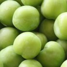 Zöld ringló szilva szabadgyökerű gyümölcsfa