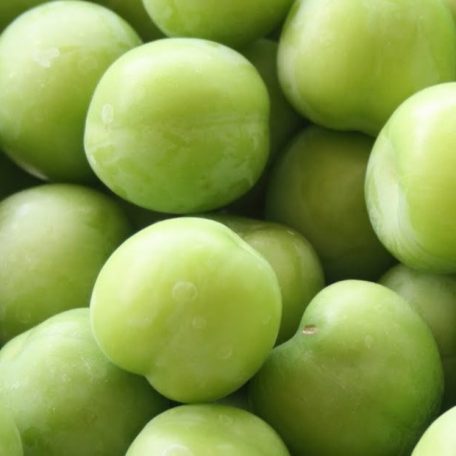 Zöld ringló szilva szabadgyökerű gyümölcsfa