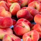 Sandwich Gelb őszibarack szabadgyökerű gyümölcsfa