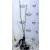 Orgona Syringa vulgaris 40/60 szgy