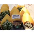 Kavicsnövény változatok Lithops 4 varieties (Sierra) P5