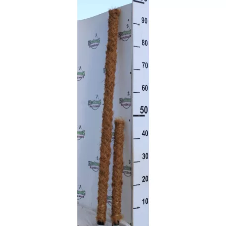 Kókuszrosttal bevont növénytámasztó karó Moss Stick 100 cm