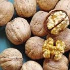 Milotai 10 dió szabadgyökerű