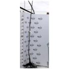 Lara dió szabadgyökerű