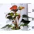 Flamingóvirág Anthurium Top in 5 var. 14 cm cserép