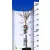 Csavarodó ágú díszcseresznye Prunus inc. Kojou-no-mai 19 cm cserép