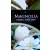 Örökzöld liliomfa törpe növésű Magnolia grand. Little Gem P17