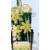 Téli jázmin Jasminum nudiflorum P15