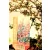 Japán borbolya Berberis thunbergii Darts Red Lady C2,5
