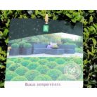 Puszpáng, gömb alakú Buxus sempervirens P26