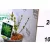 Aranytarka fagyal (Tarka levelű fagyal, Ovális levelű aranyfagyal) Ligustrum ovalifolium Aureum P14