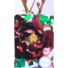 Fás bazsarózsa Paeonia suffruticosa C2