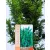 Draht hinoki álciprus Chamaecyparis obt. Draht C2,5