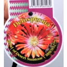 Délvirág Delosperma Jewel of Desert in cultivars