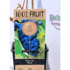 Csemegeszőlő Vitis Beta P15