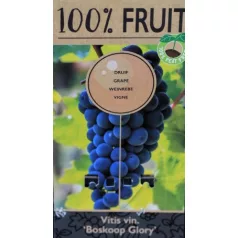 Piros csemegeszőlő Vitis vinifera Boskoop Glory P15