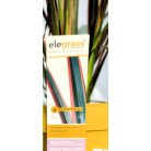 Vászonfű / Tarka új-zélandi len Phormium Sundowner P14