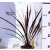 Bunkóliliom (Déli bunkóliliom vagy Ausztrál liliom) Cordyline australis Red Star P13