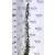 Futólonc, Japán kúszólonc Lonicera japonica Red World K2 60/80