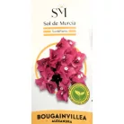 Murvafürt Bougainvillea Alexandra P23