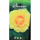 Rimosa futórózsa bokor 3 lk