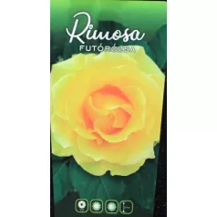 Rimosa futórózsa bokor 3 lk