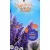 Buddleja d. Summer Kids Micki C5