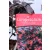 Kínai rojtosvirág Loropetalum chinense Black Pearl P15