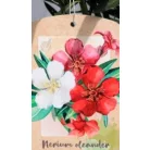 Leander Nerium oleander Tricolor N19T C3