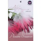 Selyemakác Albizia julibrissin P15