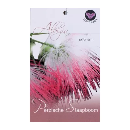 Selyemakác Albizia julibrissin P15
