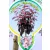 Bordó levelű japán díszcseresznye Prunus serrulata Royal Burgundy C7,5