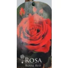 Törzses rózsa Royal Red P19