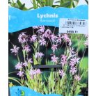Réti kakukkszegfű Lychnis flos-cuculi P18