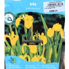 Mocsári nőszirom (sárga) Iris pseudacorus (sárga) P18