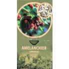 Amelanchier lamarckii C5