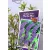 Kék virágú törpe nyáriorgona Buddleja davidii Nanho Blue P19