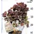 Törpe vörös cserszömörce Cotinus coggygria Lilla 17 cm cserép