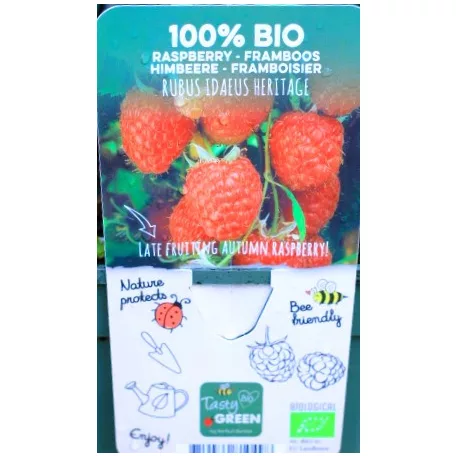 Bio málna válogatás Rubus idaeus P19