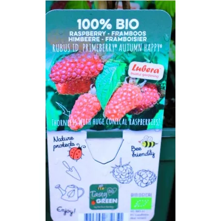 Bio málna válogatás Rubus idaeus P19