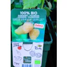 Bio málna válogatás Rubus idaeus P19