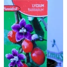Goji bogyó Lycium barbarum P12