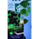 Tüskementes szeder Rubus fruticosus P11