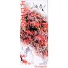 Japán juhar Acer Orangeola C3