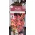 Oszlopos növekedésű japán juhar Acer palmatum Skeeter's Broom 19 cm cserép