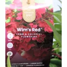 Bugás hortenzia Hydrangea paniculata Wims Red P19